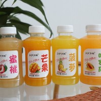 380ml復(fù)合果汁飲品