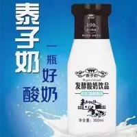 泰子奶發(fā)酵酸奶飲品300ml